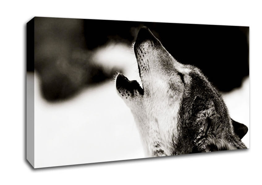 Howling Wolf Canvas Wall Art