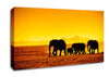 Hurd Of Elephants Canvas Wall Art