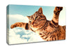 I Believe I Can Fly Cat Canvas Wall Art