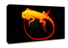 Iguana 2 Canvas Wall Art