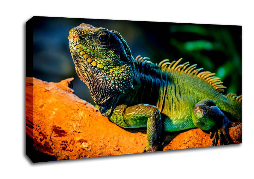 Iguana Canvas Wall Art