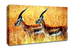 In The Wild Canvas Wall Art