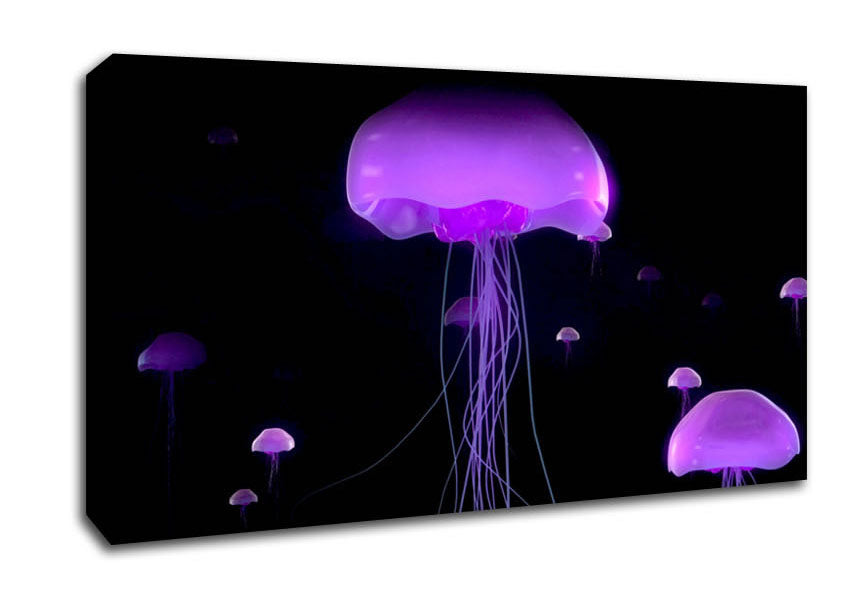 Jellyfish Lights Up The Ocean Canvas Wall Art