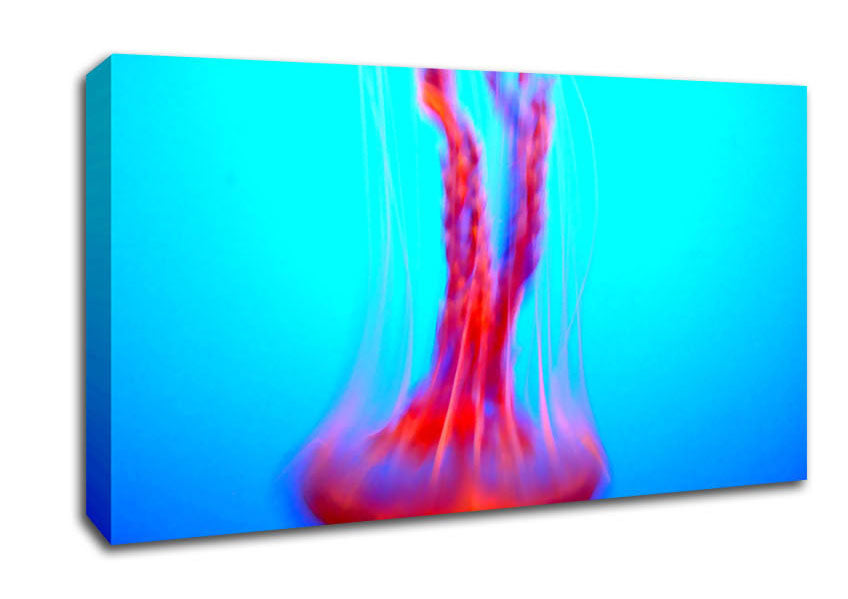 Jellyfish Movement Canvas Wall Art