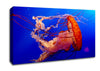 Jellyfish Ocean Canvas Wall Art