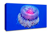 Jellyfish Pink Canvas Wall Art