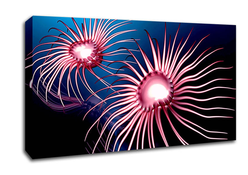 Jellyfish Swirl Canvas Wall Art