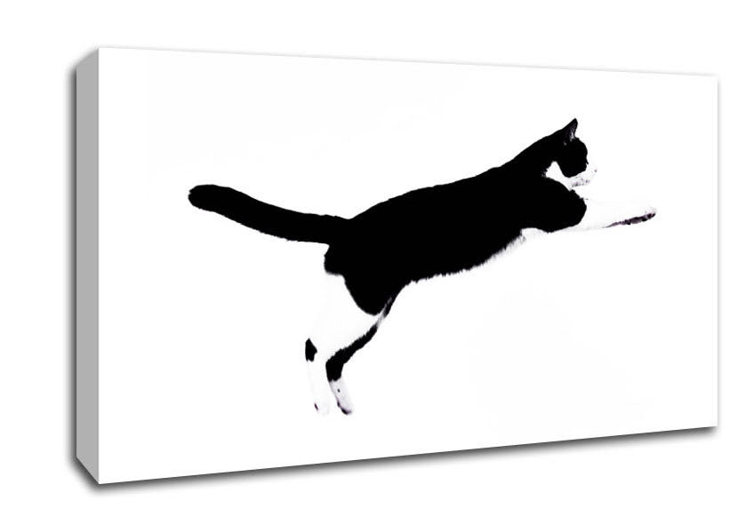Jumping Cat Canvas Wall Art