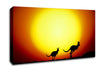 Kangaroos By Sunlight Canvas Wall Art