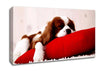 King Charles Thrown Canvas Wall Art