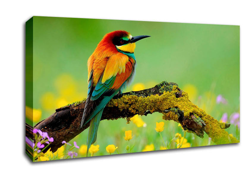 Kingfisher Wild Flowers Canvas Wall Art
