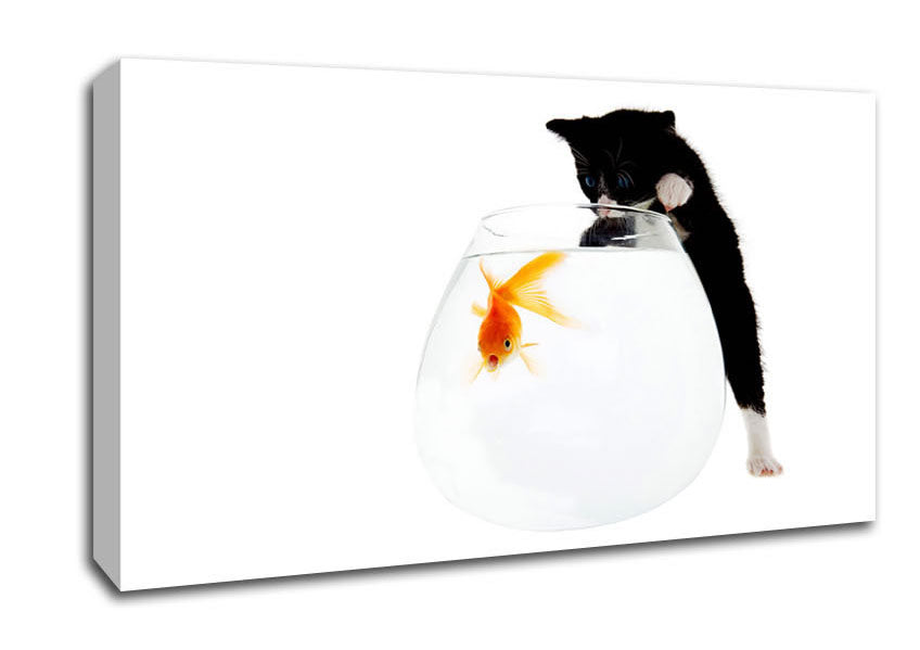 Kitten Fish Bowl Canvas Wall Art