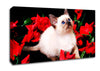 Kitten Roses Canvas Wall Art