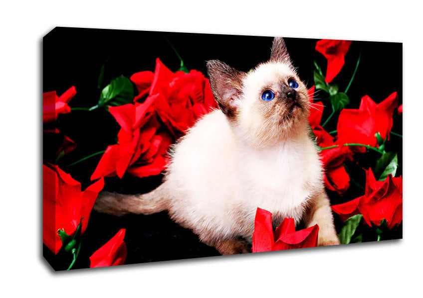 Kitten Roses Canvas Wall Art