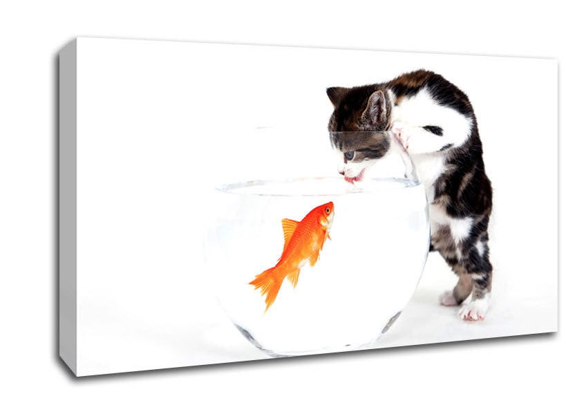 Kitten VS Fish Canvas Wall Art