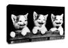 Laughing Kittens Canvas Wall Art