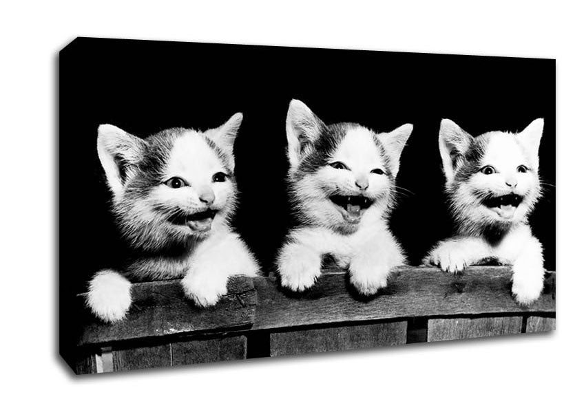 Laughing Kittens Canvas Wall Art