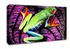Leap Frog Canvas Wall Art