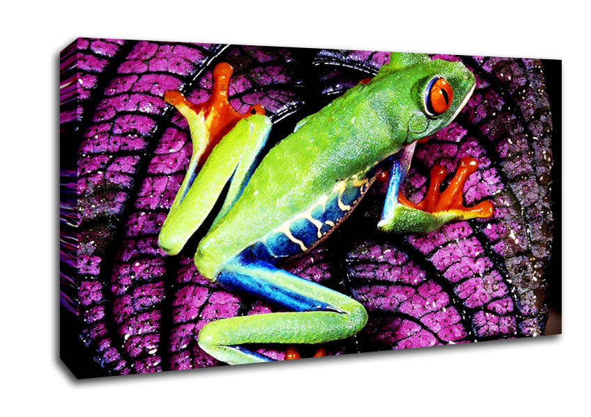 Leap Frog Canvas Wall Art