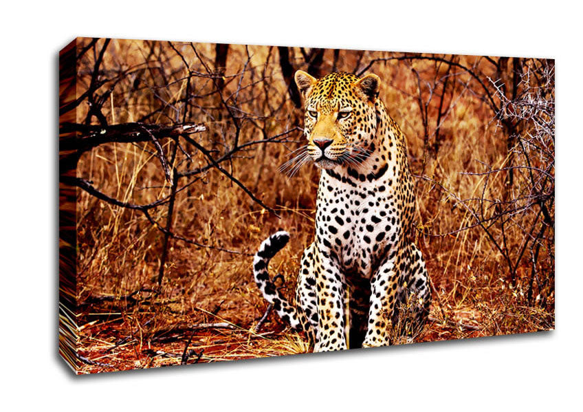 Leopard Hunt Canvas Wall Art