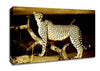 Leopard Perch Sepia Canvas Wall Art
