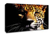 Leopard Pray Canvas Wall Art