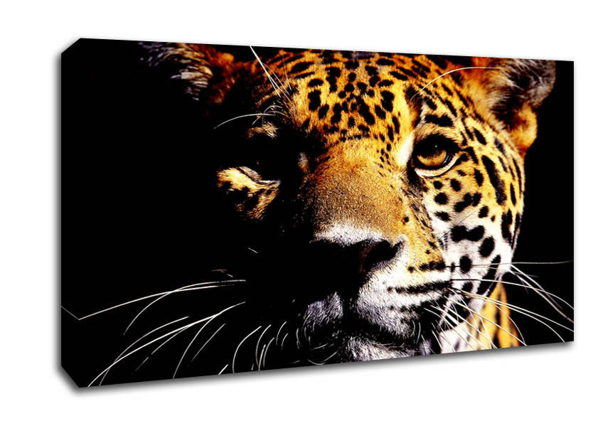 Leopard Pray Canvas Wall Art