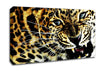 Leopard Roar Canvas Wall Art