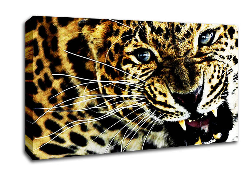 Leopard Roar Canvas Wall Art