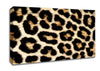 Leopard Skin Canvas Wall Art
