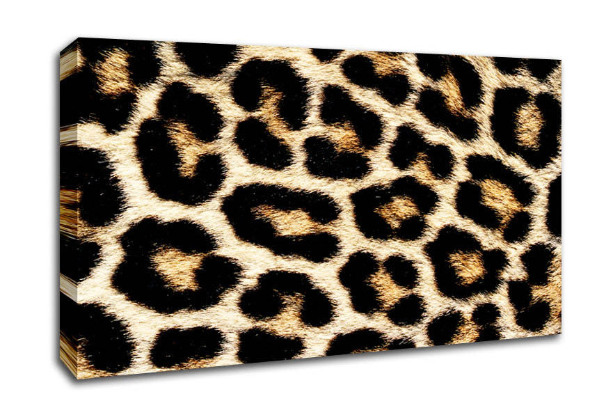 Leopard Skin Canvas Wall Art