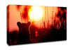 Lion Cub Watching The Sun Go Down Canvas Wall Art