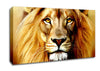 Lion Head Canvas Wall Art