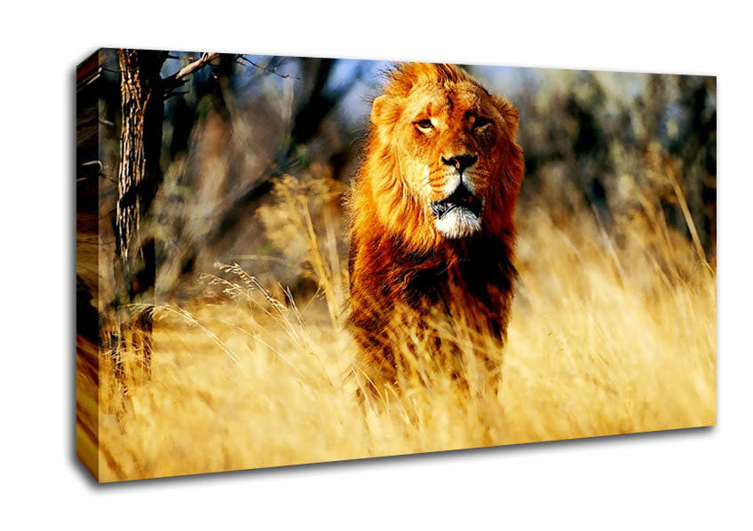 Lion Jungle Canvas Wall Art