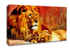 Lion Love Canvas Wall Art