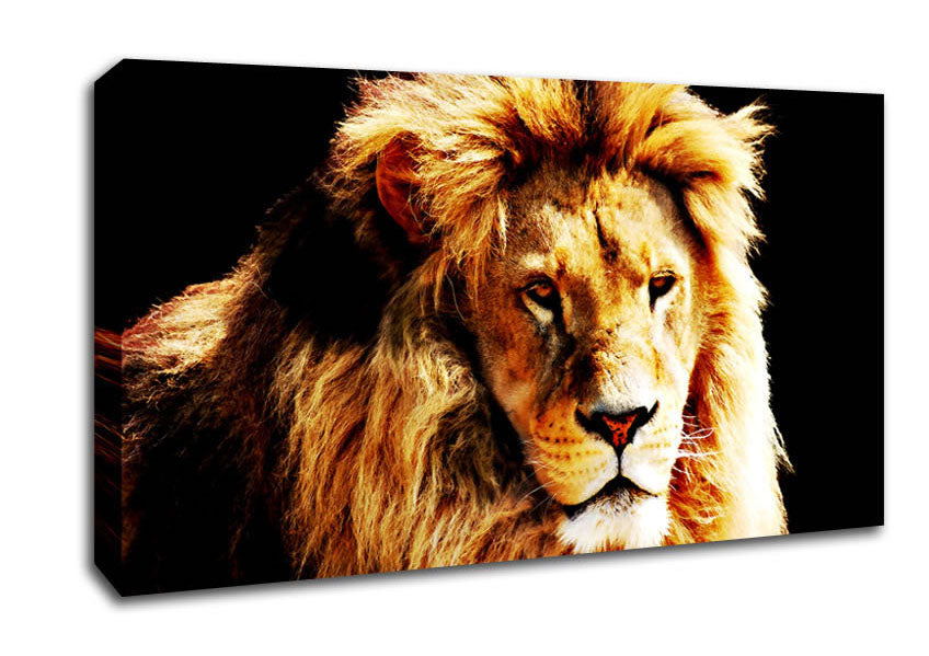 Lion Mane Canvas Wall Art