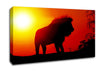 Lion Sunset Canvas Wall Art