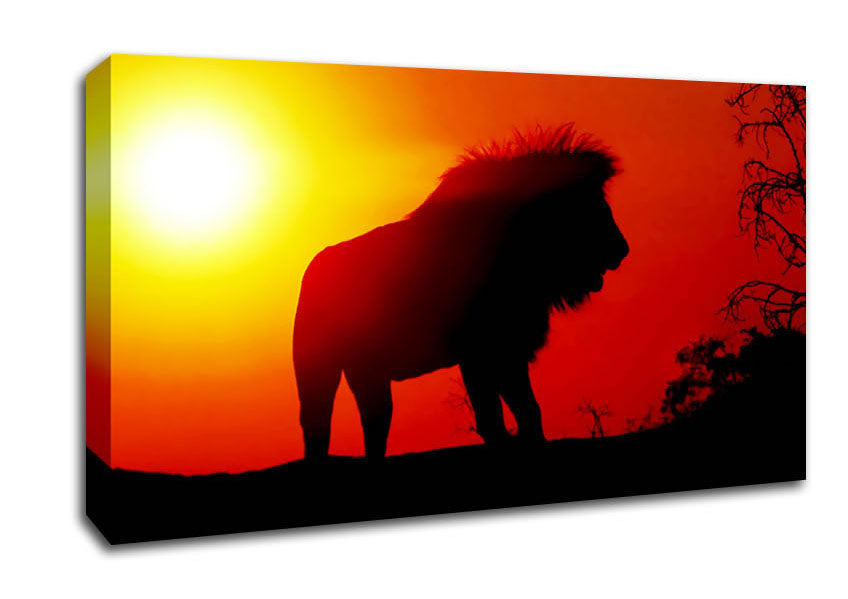 Lion Sunset Canvas Wall Art