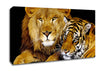 Lion Tiger Love Canvas Wall Art
