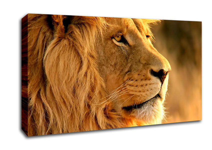 Lion Canvas Wall Art