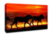 Lions On The Hunt Canvas Wall Art