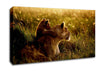 Lioness And Cub Canvas Wall Art