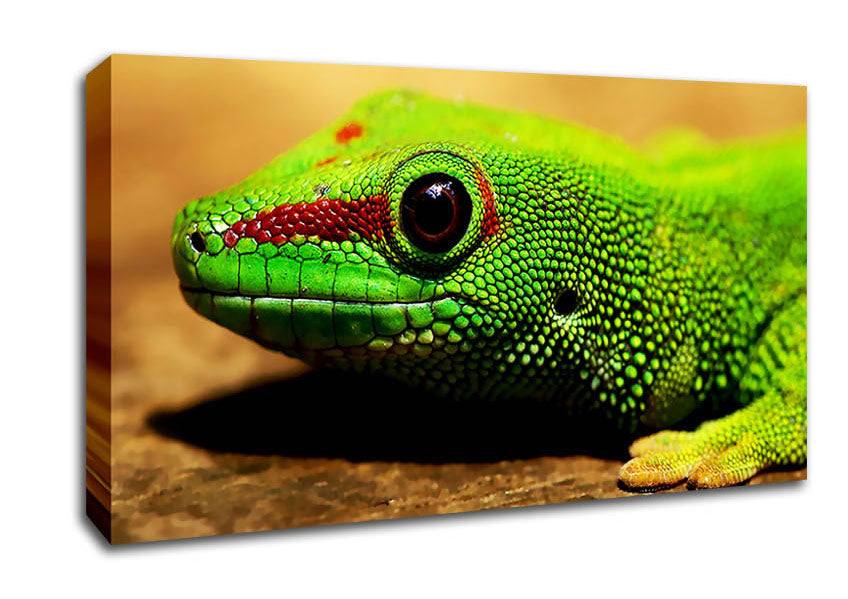 Lizard Face Canvas Wall Art