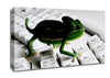 Lizard Keyboard Canvas Wall Art