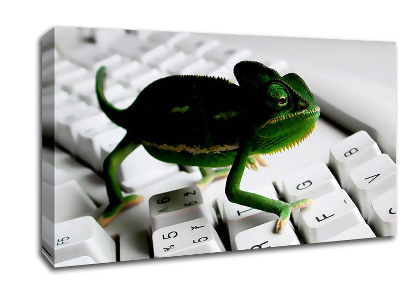 Lizard Keyboard Canvas Wall Art
