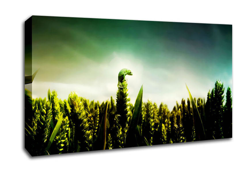 Lizard Perch Canvas Wall Art