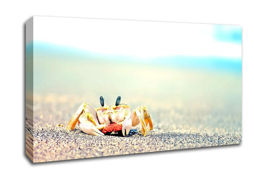 Lonely Crab Canvas Wall Art