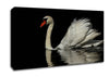 Lonely Cruiser Canvas Wall Art