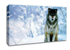 Lonsome Wolf Canvas Wall Art