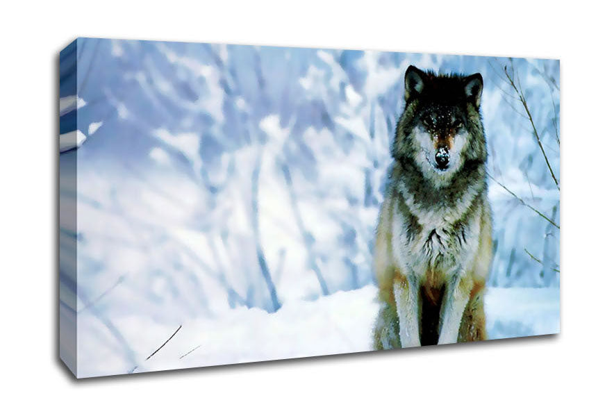 Lonsome Wolf Canvas Wall Art